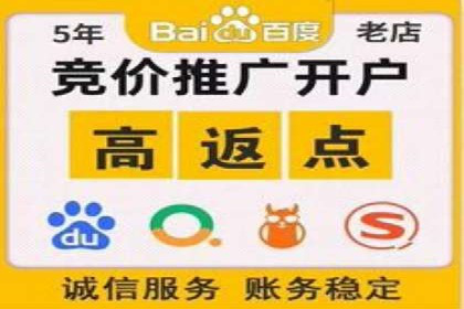 案例研究：信息流广告投放优化