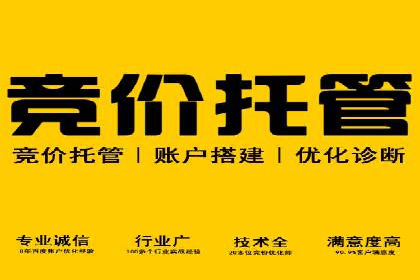 专业SEM托管：成功提升广告效果的案例分析